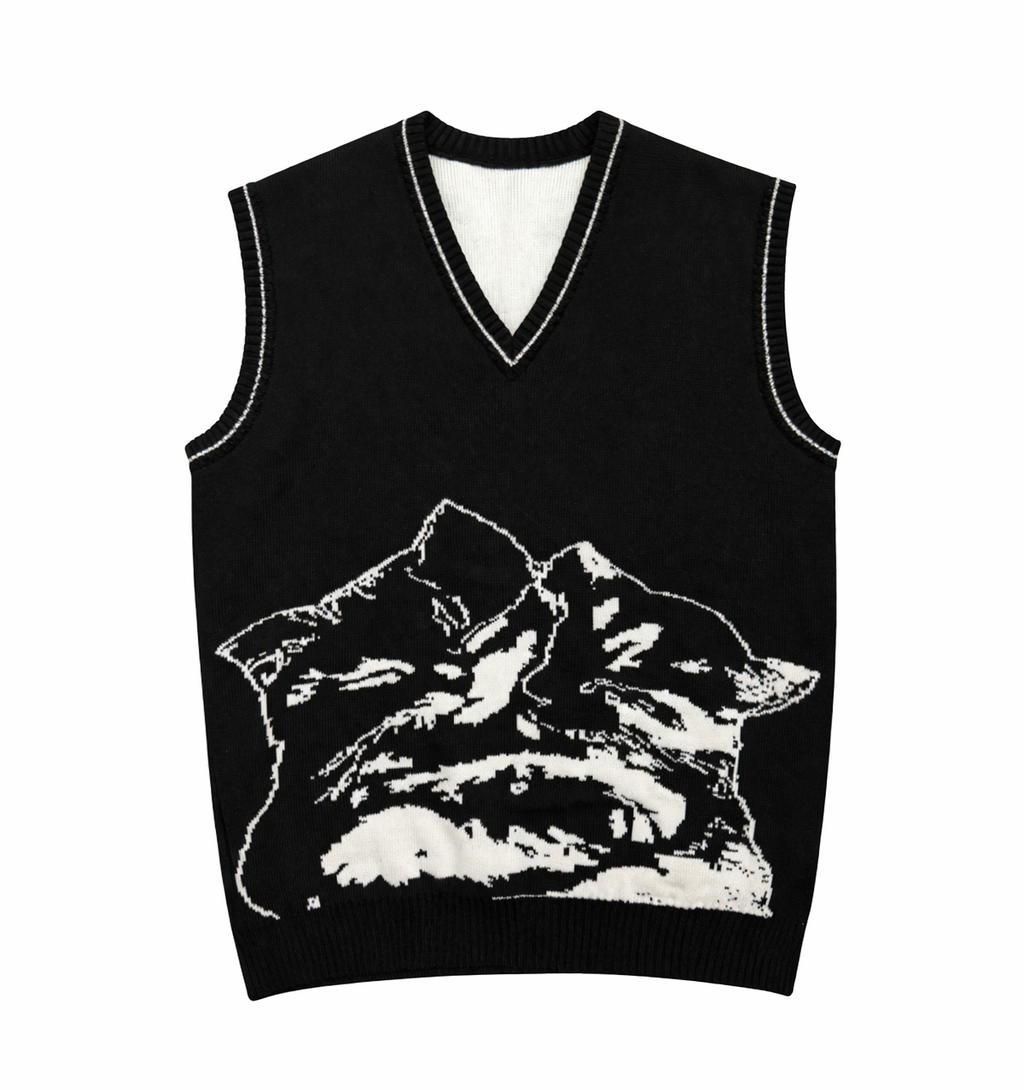 ПРЕДЗАКАЗ. жилетка с котюнчиками