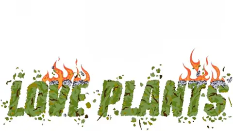 Love Plants